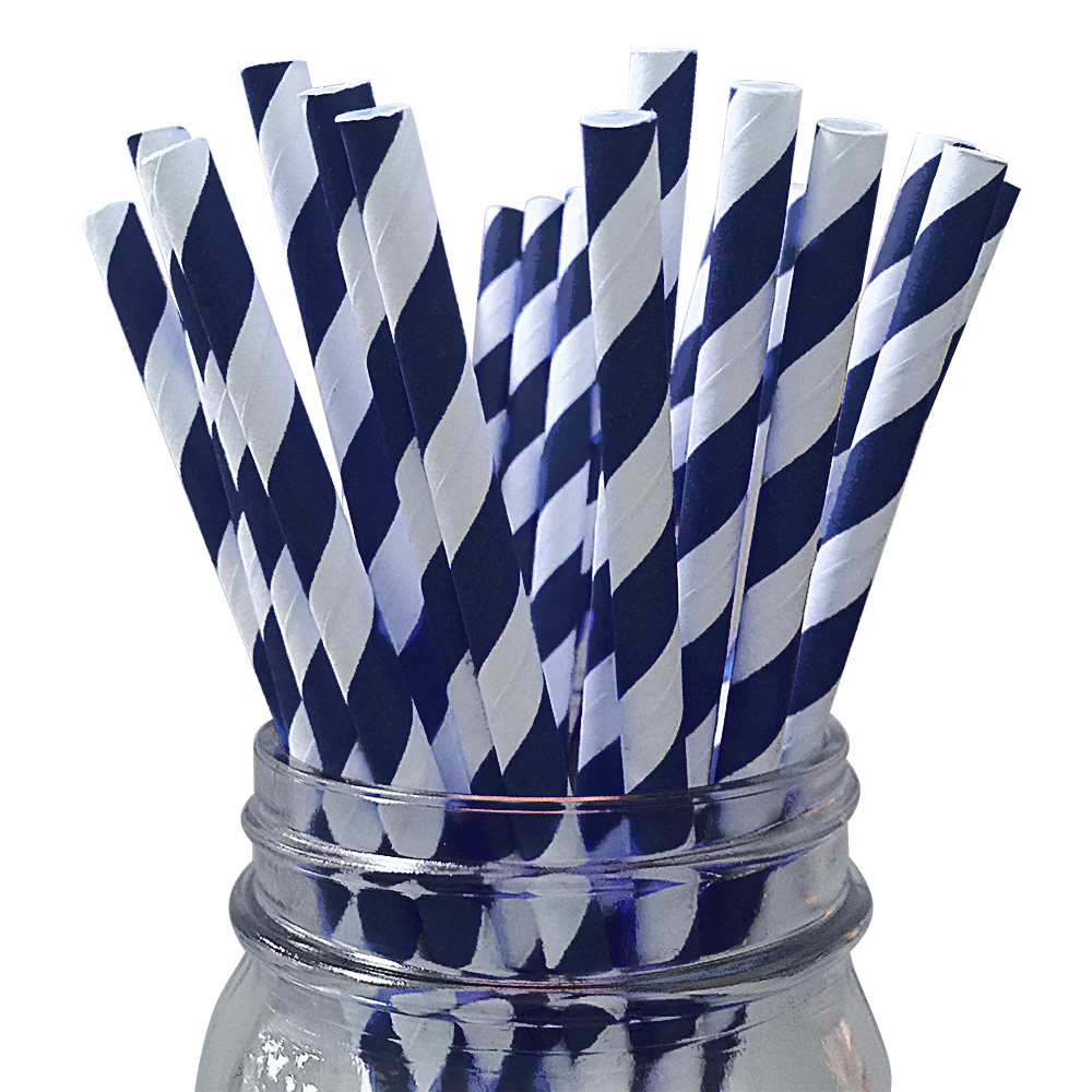 Dark Navy Stripe Paper Straws