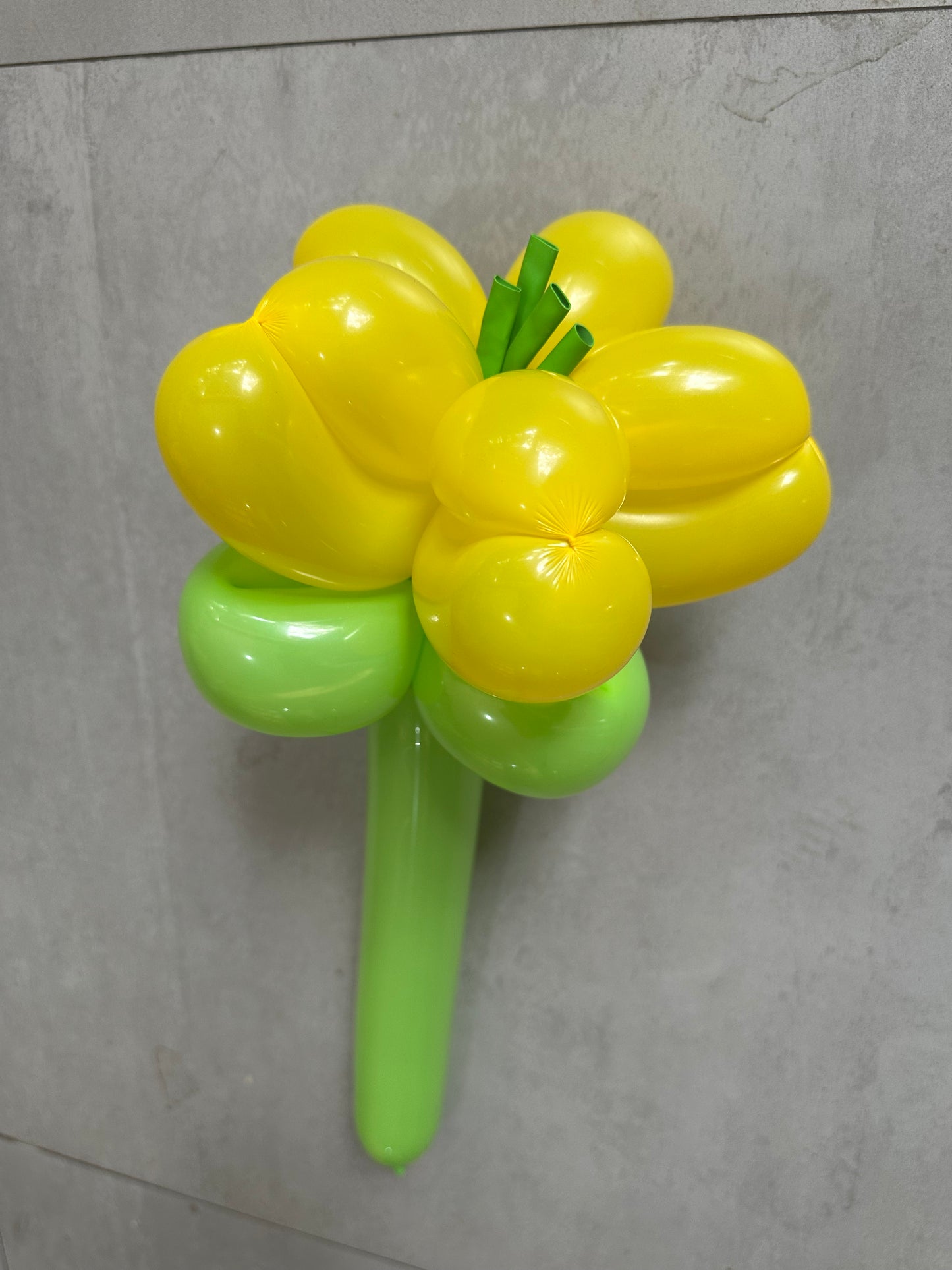 Lily