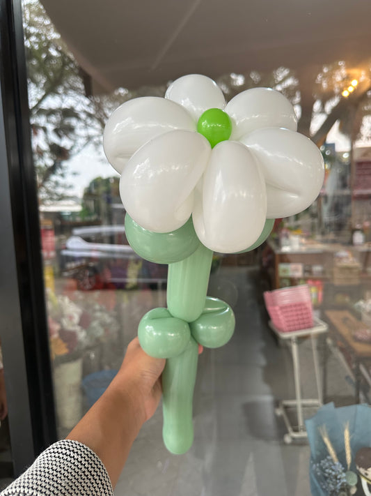 Daisy Balloon